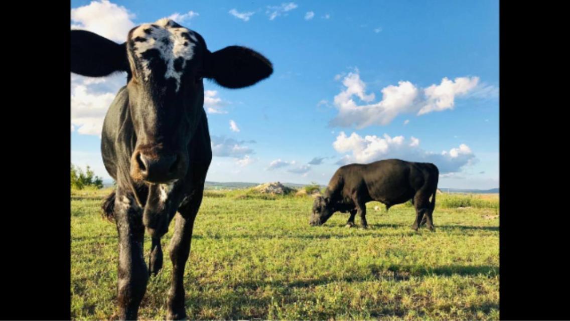 Flat - Fazenda Monte Castelo Gravata 4B Mod2 Διαμέρισμα Sairé Εξωτερικό φωτογραφία